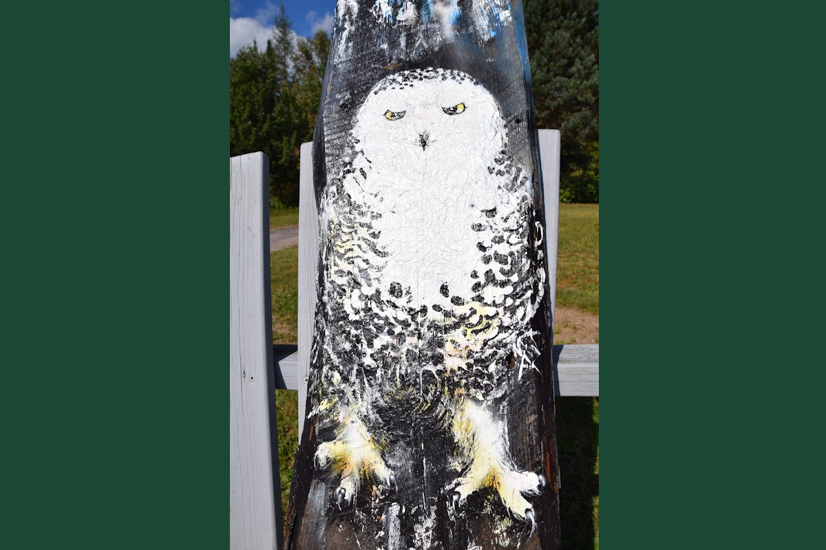 Owls on Barn Board hand-painted art for sale at adirondackart.org